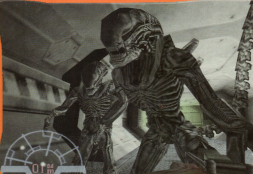 ScreenHub-Game-Aliens vs Predator